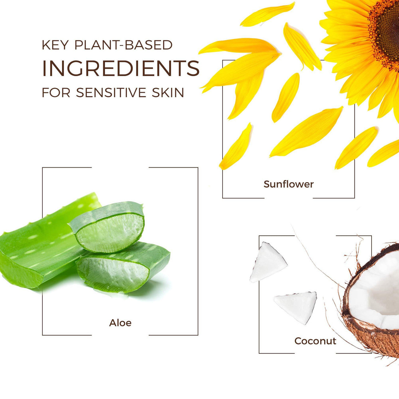 BAB SUNSCRN SPRAY SPF 50 ( 1 X 6 OZ   )-2